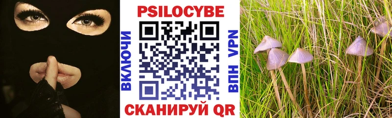 Псилоцибиновые грибы мицелий где найти наркотики Карталы